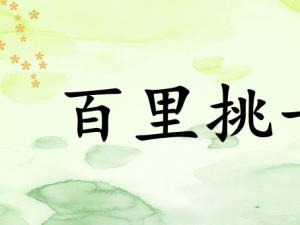 历史典故资料：赵社的精彩话语保护法_500字