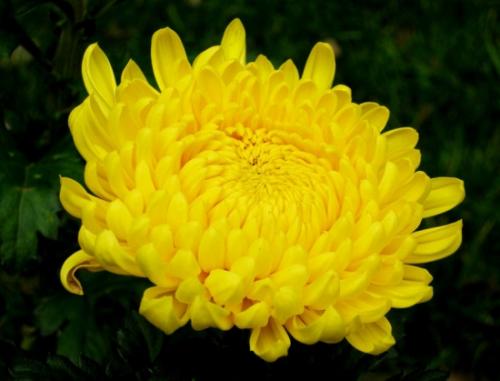 关于微笑的构图：最美丽的微笑_800字