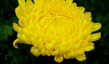 关于微笑的作文：最美的微笑_800字