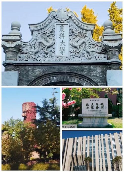 我的中国梦_2000字
