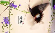 关于处暑的作文：处暑（三）_500字