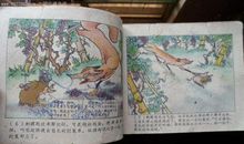 单元作文：狐狸和刺猬_500字