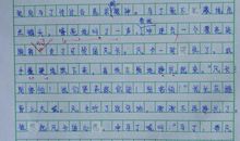 单元作文：假如我有一只尼尔斯的鹅_500字