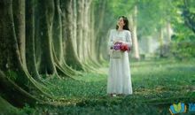 假如我是大自然中的一员_550字