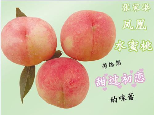 单元组成：Phoenix Peach_550字