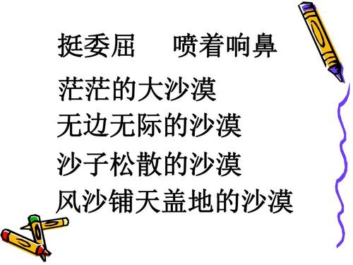 “我应该为正确而自豪”续_400字