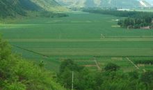 命运是大地之戏剧的开端_3000字