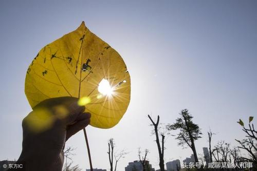 关于微笑的成分：看到sun_800个单词时微笑