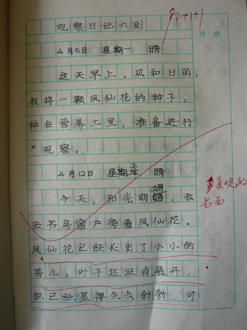 单元组成：观察ants_400个单词