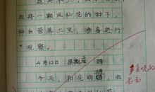 单元作文：观察蚂蚁_400字