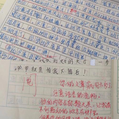 小学教师的实习经历（3）