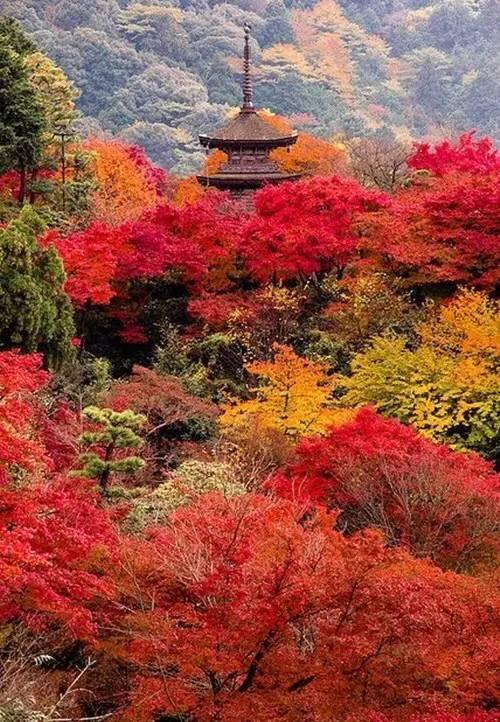 高人体工程学组成：令人陶醉的Autumn_1000个单词