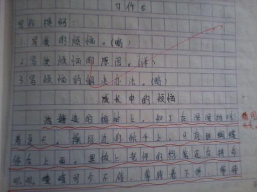 六年级英语作文：我爱父母_450字