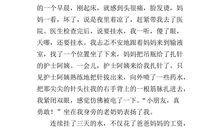 高二状物作文：冬天真好_800字