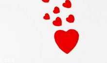 关于爱心奉献的句子_3000字