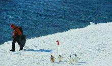 在自然中洗礼_800字