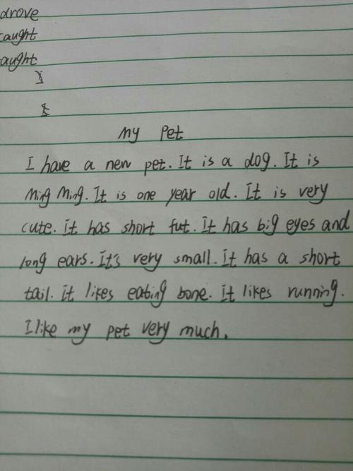 六年级英语作文：My dog_150字