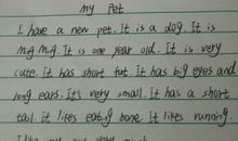 六年级英语作文：My dog_150字