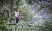 “自然环境”类话题作文写作指导及例文评点