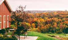 季节的好段好句：处暑祝福语_700字