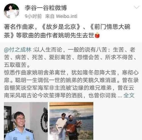 三年级续集，改写和扩展：《三毛流浪》续集_500字