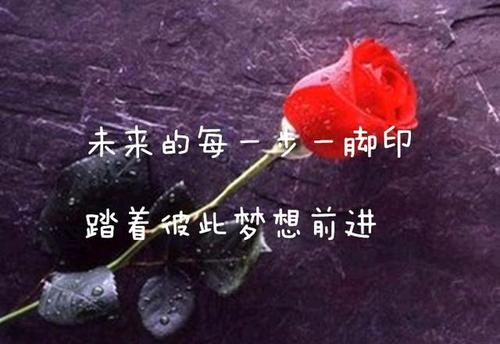 前进500字