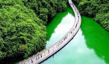 高二读后感：《摇摇晃晃的桥》_800字