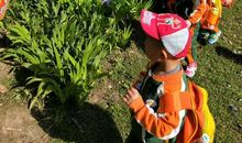 走进生活·大自然！_150字