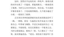 三年级续写改写扩写：续写《狐假虎威》_200字