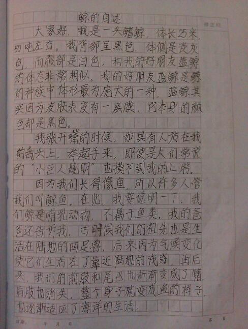 [超新星初中组] Free_1000字