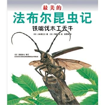 昆虫的国歌-阅读“昆虫”的感受_800字