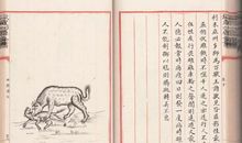 挂道先生（第四章）_1000字