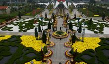 秋游市委花园_550字