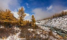 Beauty of winter_1200字