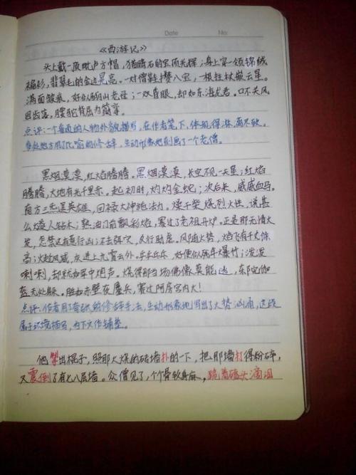 卡卡多先生（第三章）_1000字