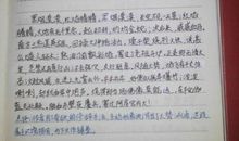 挂道先生（第三章）_1000字