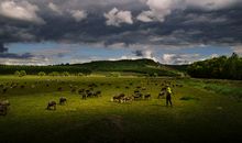 家乡的风景_900字