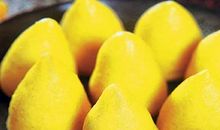 高二说明文：保护植被_800字