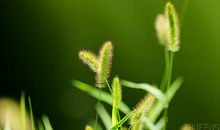 [春天来了]高三的春天_800字