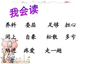 “我应该为正确而自豪”续_500字