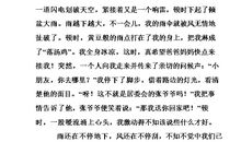 什么最重要_600字