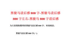 《归来记》读后感_800字