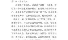 二年级观后感：鲁冰花观后感6_500字