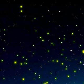 关于阅读《星星·泉水》的思考