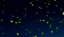 读《繁星·春水》有感_1200字