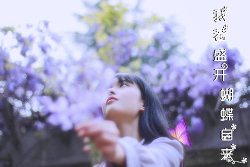 高中二年级散文：如果你盛开，蝴蝶就自己来_1000字