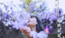 高二议论散文：你若盛开，蝴蝶自来_1000字