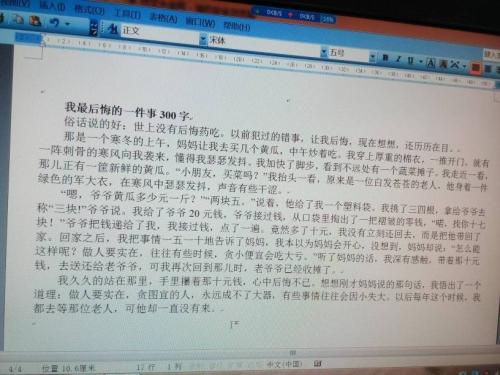 一年级的风景作文：我爱你-snow_700字