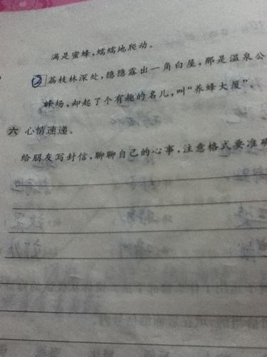 单元组成：Ideal_300字