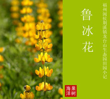 二级复习：陆炳华5_600字